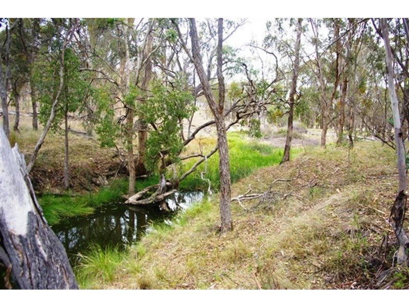 321  Linton Rd, Balala NSW 2358