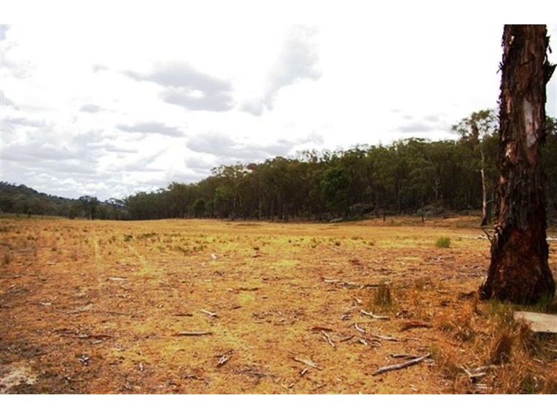 321  Linton Rd, Balala NSW 2358