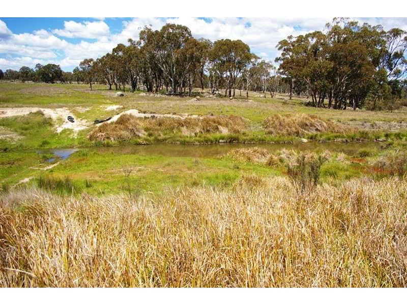 2782 Bonnay-linton Rd, Bundarra NSW 2359