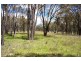 2782 Bonnay-linton Rd, Bundarra NSW 2359