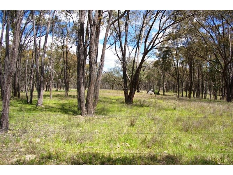 2782 Bonnay-linton Rd, Bundarra NSW 2359