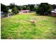 168W Evans St, Walcha NSW 2354