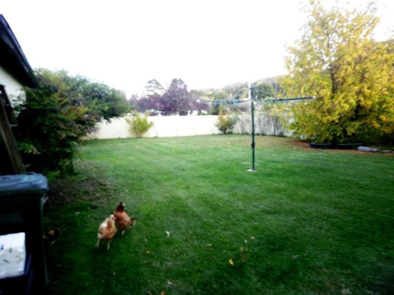 72E Apsley Street, Walcha NSW 2354