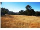56 Kalinowski Lane, Rocky River NSW 2358