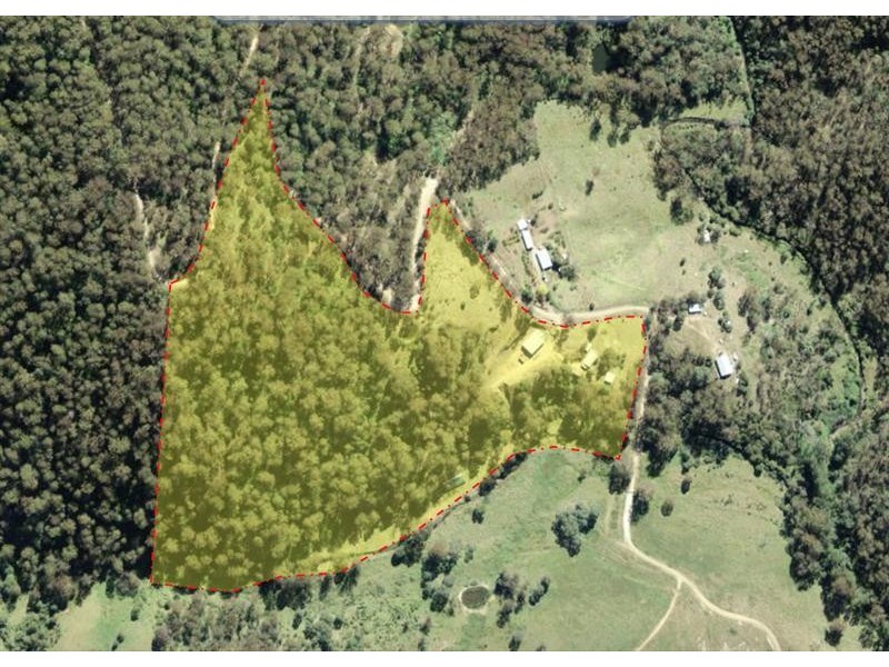 406 Shearers Road, Hanging Rock NSW 2340