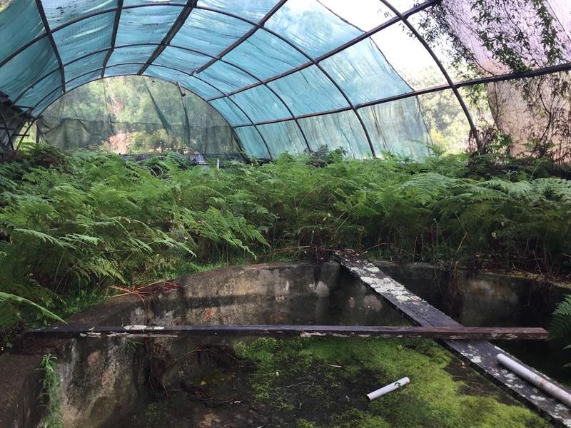 406 Shearers Road, Hanging Rock NSW 2340