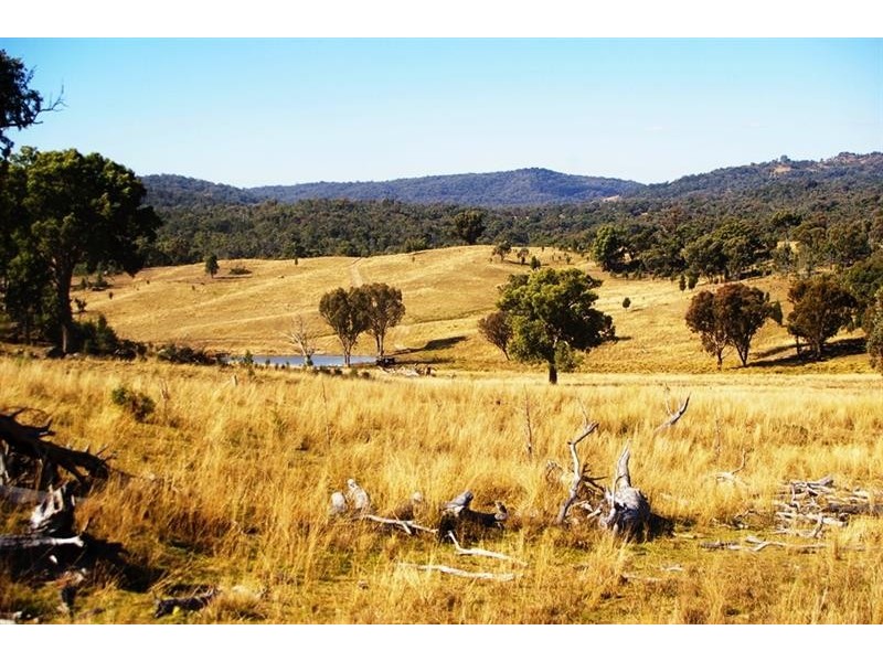 866 Wearnes Road, Bundarra NSW 2359