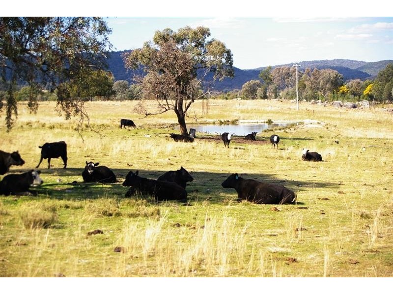 866 Wearnes Road, Bundarra NSW 2359