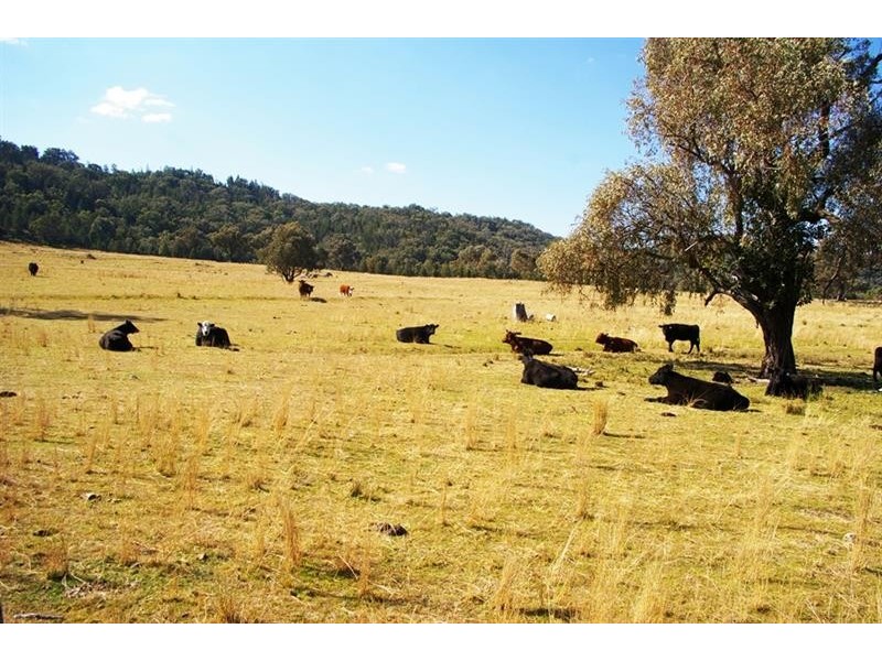 866 Wearnes Road, Bundarra NSW 2359