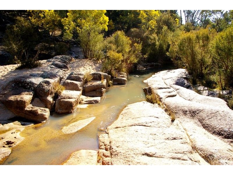 866 Wearnes Road, Bundarra NSW 2359