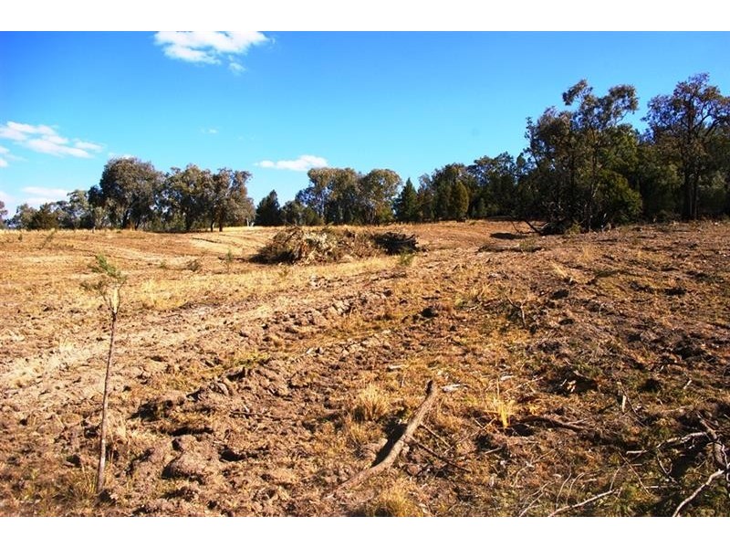 866 Wearnes Road, Bundarra NSW 2359