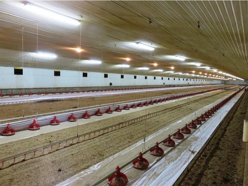 2797 Manilla Road, Attunga NSW 2345