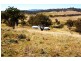 2797 Manilla Road, Attunga NSW 2345