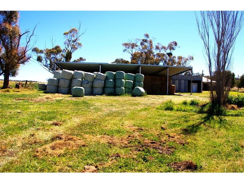 2797 Manilla Road, Attunga NSW 2345