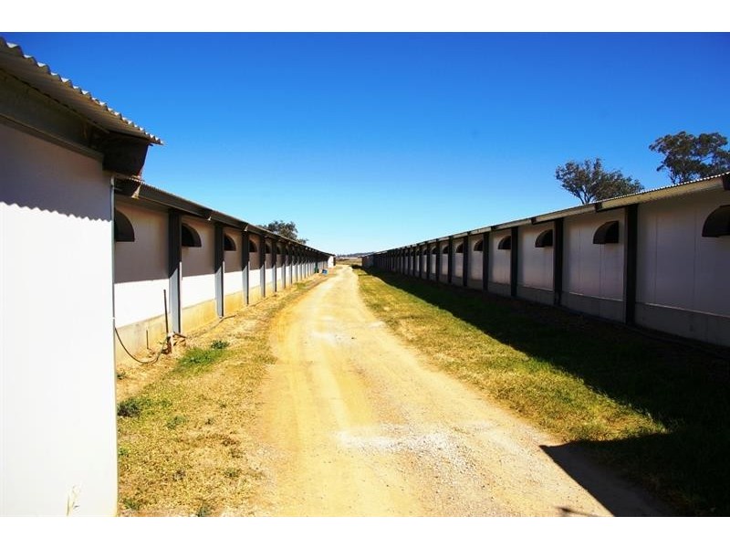 2797 Manilla Road, Attunga NSW 2345