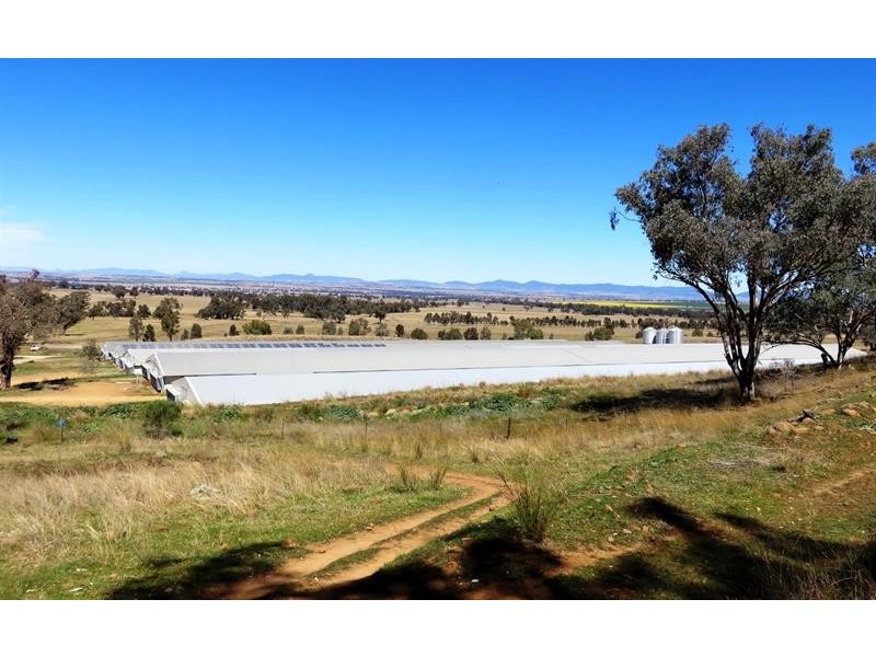 2797 Manilla Rd, Attunga NSW 2345