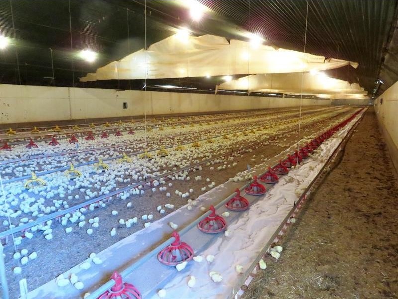 2797 Manilla Rd, Attunga NSW 2345