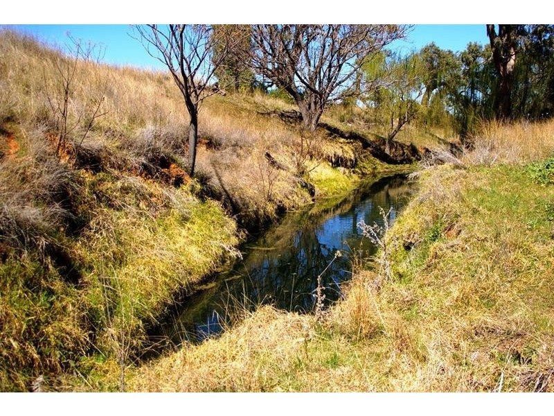 2797 Manilla Rd, Attunga NSW 2345