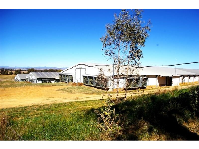 2797 Manilla Rd, Attunga NSW 2345