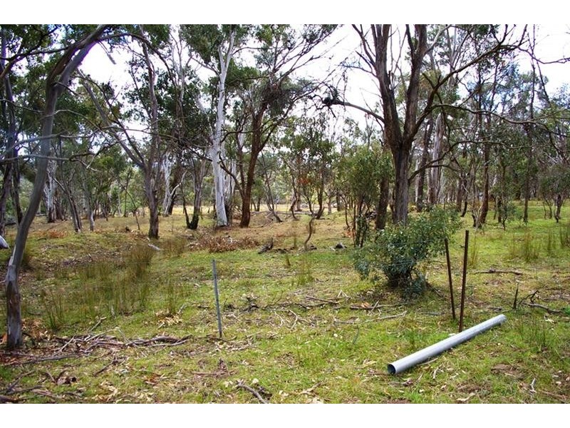 126 Rifle Range Rd, Uralla NSW 2358