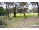 115W North Street, Walcha NSW 2354