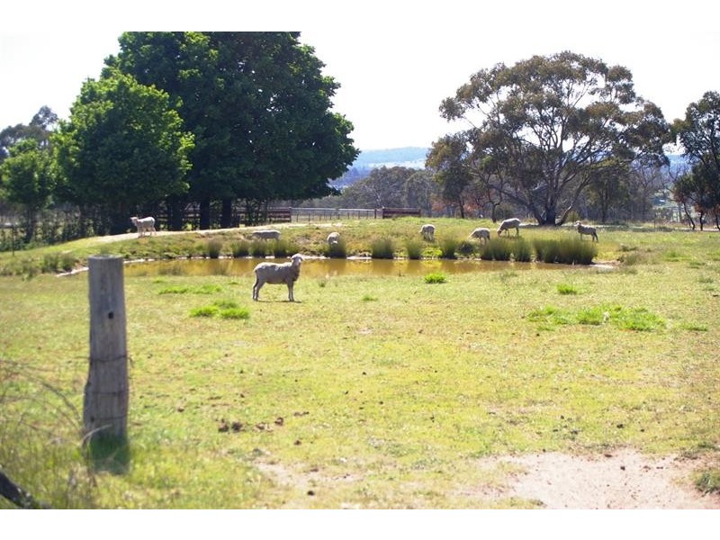 340 Kingstown Road, Uralla NSW 2358