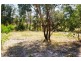 21 Sawmill Lane, Kingstown NSW 2358