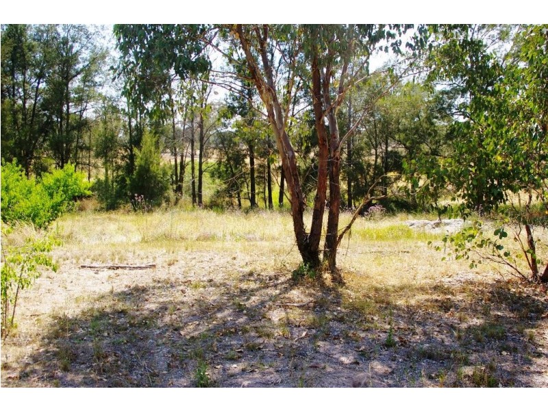 21 Sawmill Lane, Kingstown NSW 2358