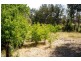 21 Sawmill Lane, Kingstown NSW 2358