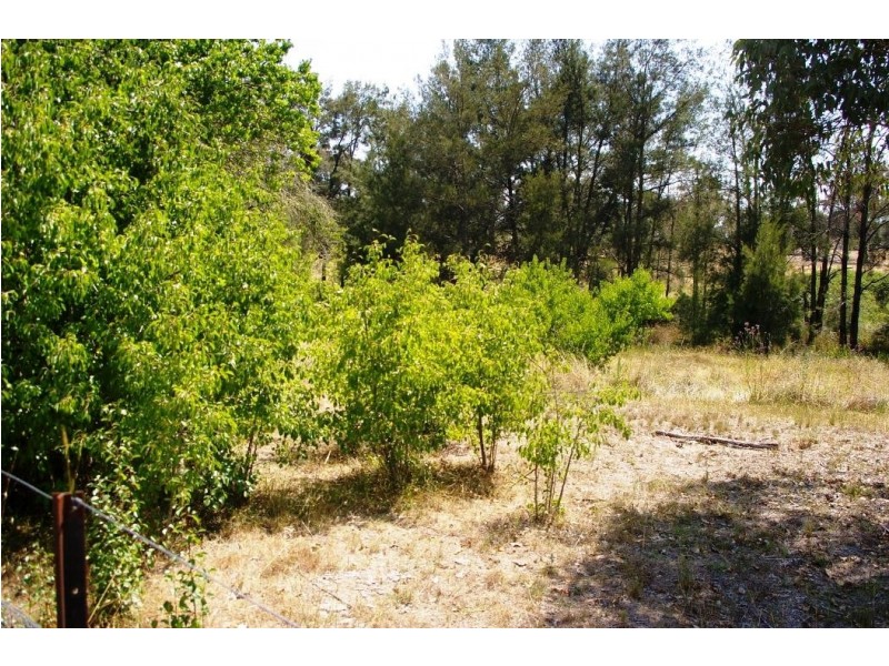 21 Sawmill Lane, Kingstown NSW 2358