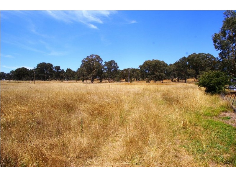 91 Bendemeer Road, Uralla NSW 2358