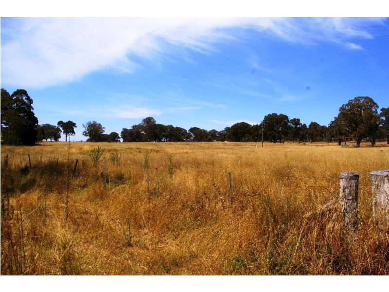 91 Bendemeer Road, Uralla NSW 2358