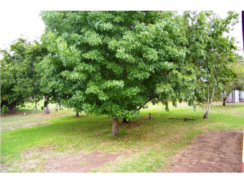 35 John Street, Uralla NSW 2358
