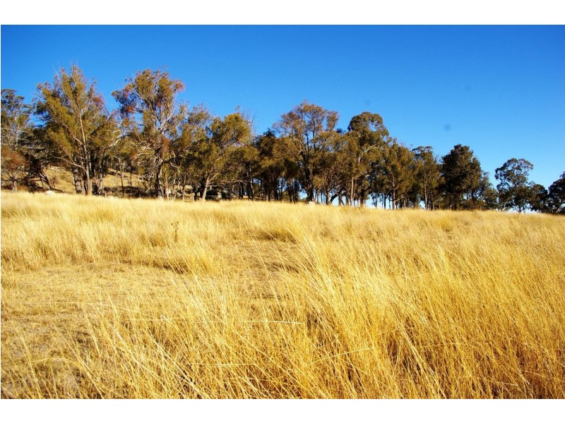 Lot 102 Jenkyn Lane, Rocky River NSW 2358