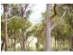 Lot 102 Jenkyn Lane, Rocky River NSW 2358