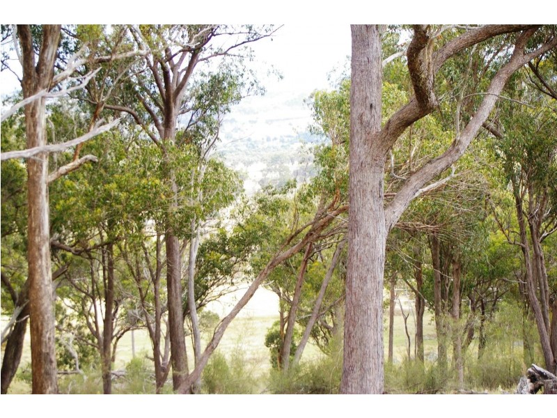 Lot 102 Jenkyn Lane, Rocky River NSW 2358
