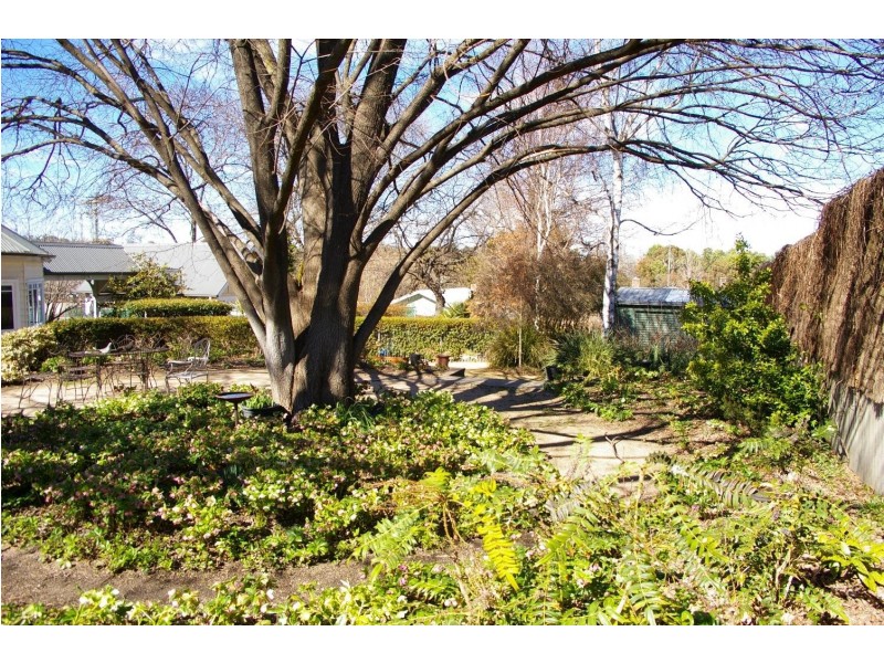 4 Park Street, Uralla NSW 2358