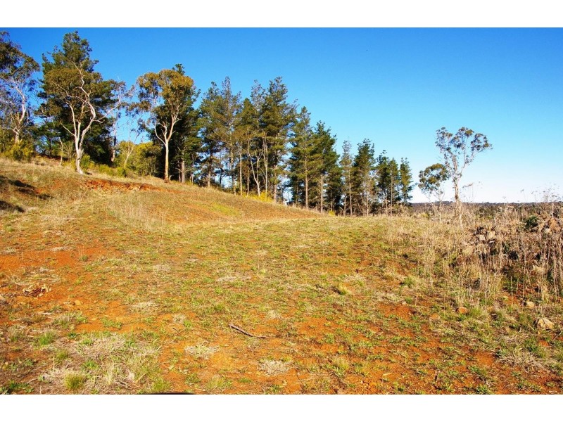 2 Uralla Street, Uralla NSW 2358