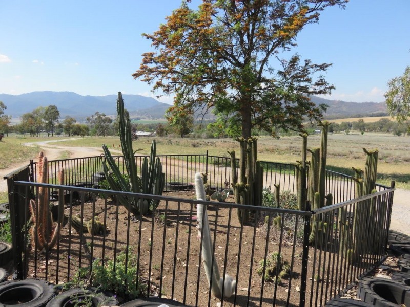 64 Porcupine Lane, Tamworth NSW 2340