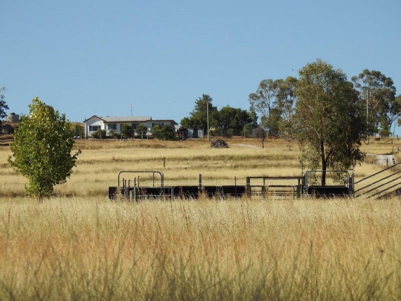 64 Porcupine Lane, Tamworth NSW 2340