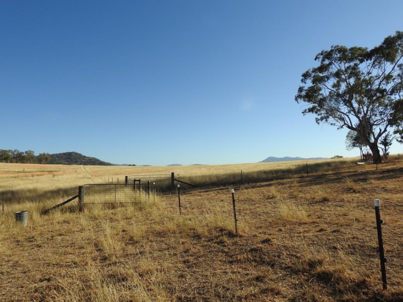 64 Porcupine Lane, Tamworth NSW 2340