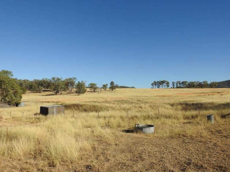 64 Porcupine Lane, Tamworth NSW 2340