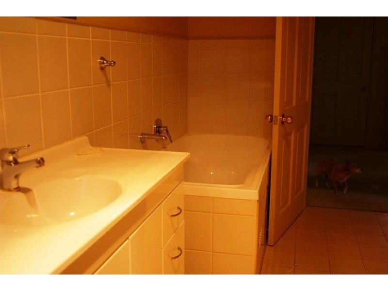 1 Fitzroy Street, Uralla NSW 2358