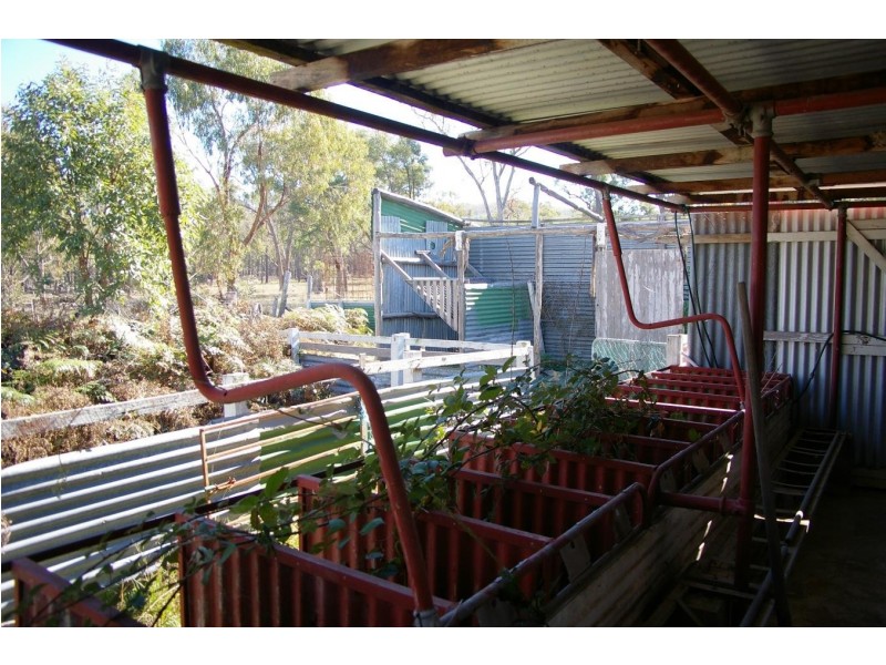 220 Glen Barra Road, Watsons Creek NSW 2355