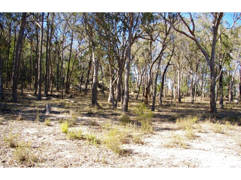 220 Glen Barra Road, Watsons Creek NSW 2355