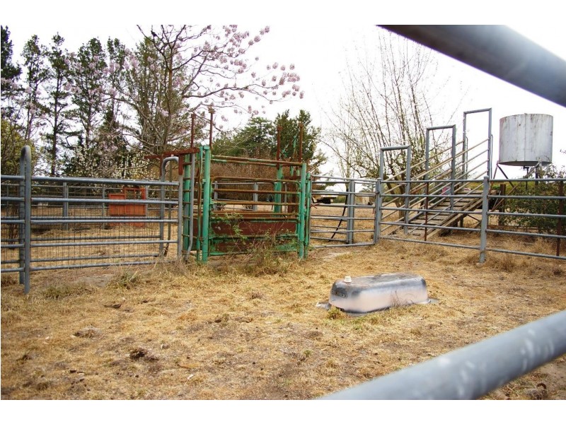 53 Reeves Road, Kentucky NSW 2354