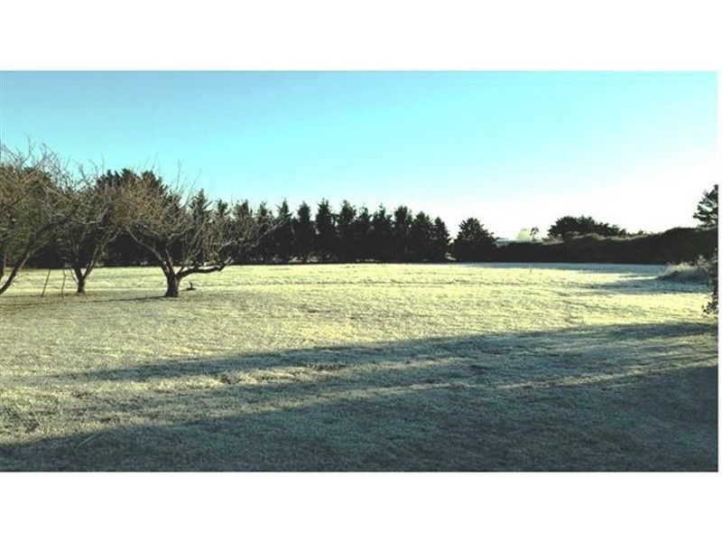 53 Reeves Road, Kentucky NSW 2354