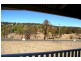 53N Thee Street, Walcha NSW 2354
