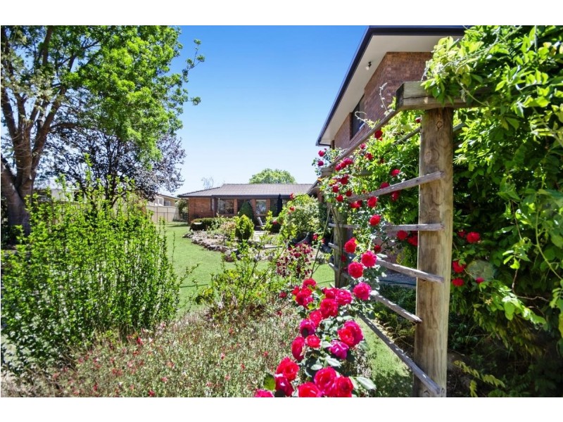 24 Plane Avenue, Uralla NSW 2358