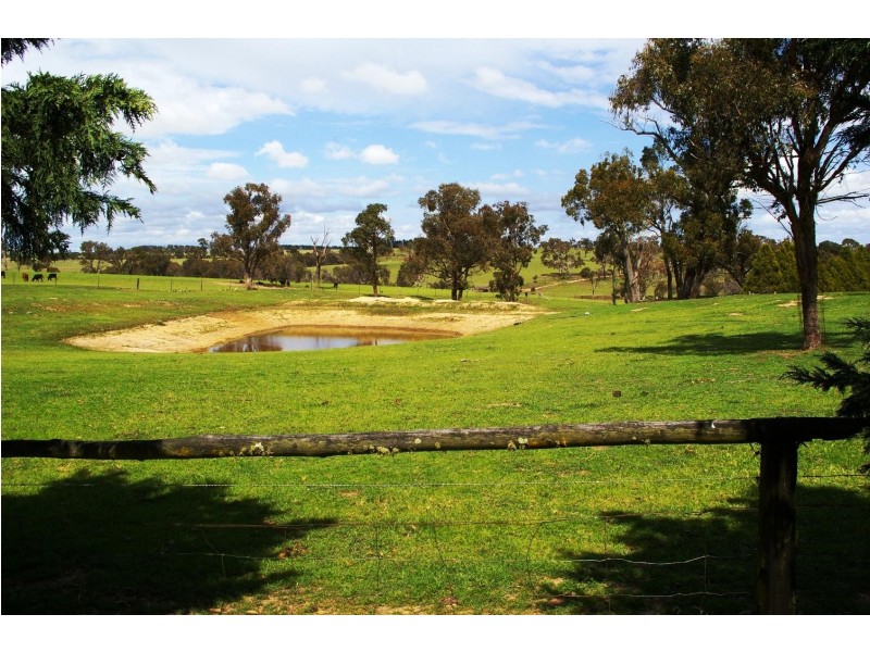 12 Green Gully Road, Uralla NSW 2358